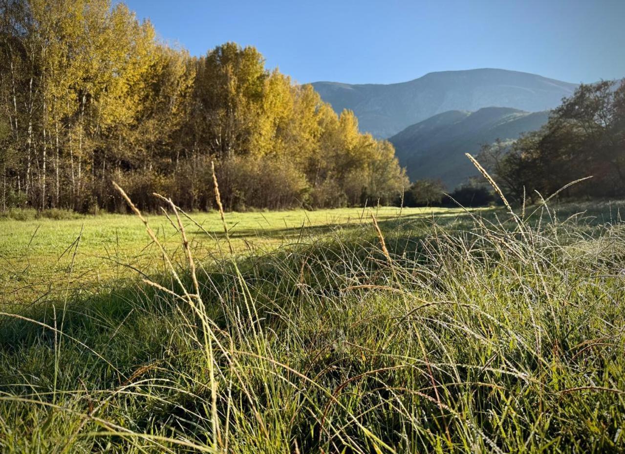 Pat Busch Mountain Reserve روبرتسون المظهر الخارجي الصورة