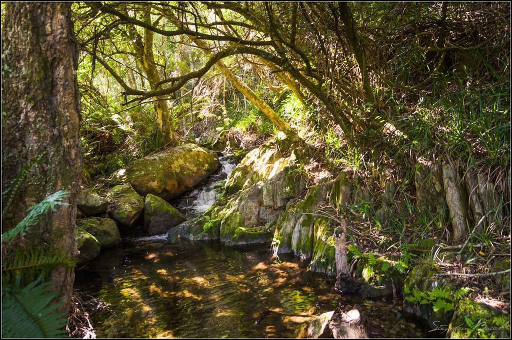 Pat Busch Mountain Reserve روبرتسون المظهر الخارجي الصورة