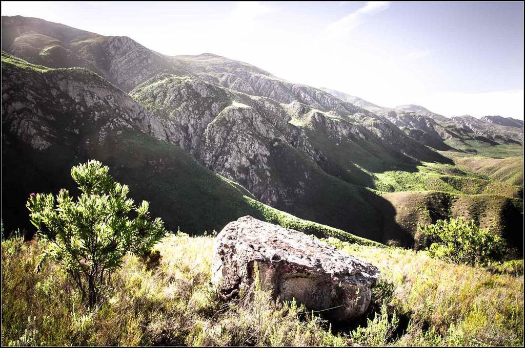 Pat Busch Mountain Reserve روبرتسون المظهر الخارجي الصورة