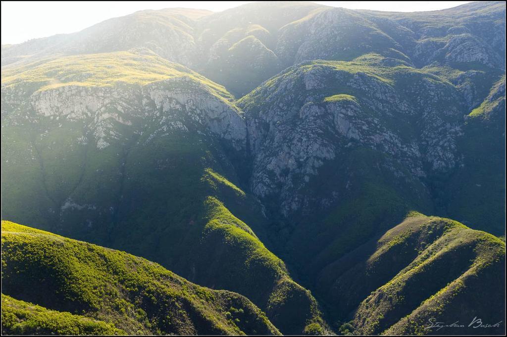 Pat Busch Mountain Reserve روبرتسون المظهر الخارجي الصورة