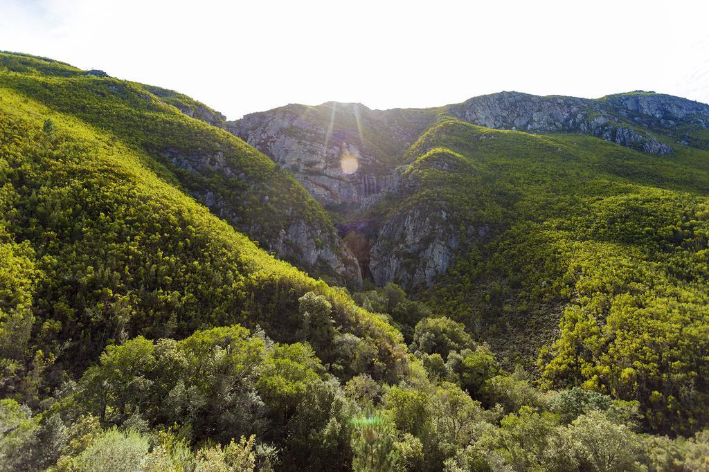 Pat Busch Mountain Reserve روبرتسون المظهر الخارجي الصورة