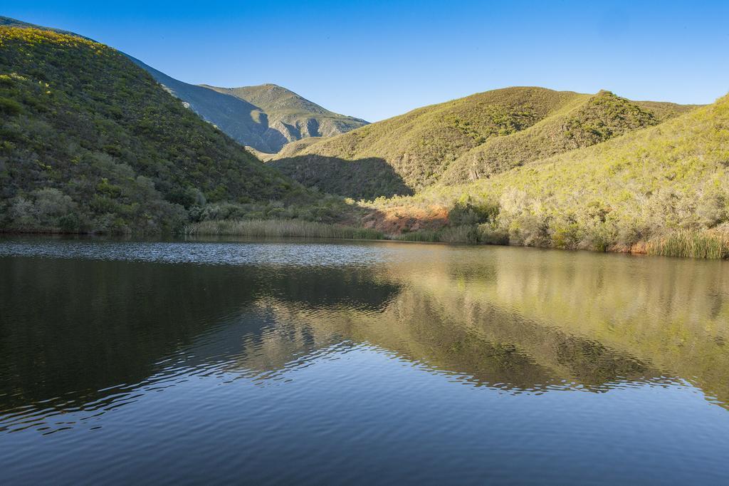 Pat Busch Mountain Reserve روبرتسون المظهر الخارجي الصورة