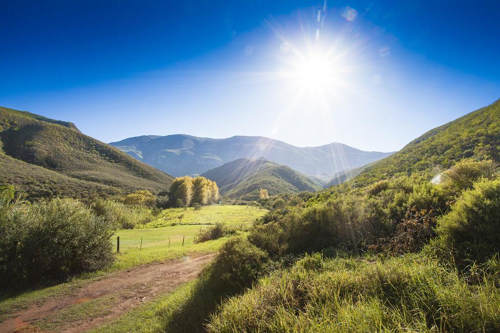 Pat Busch Mountain Reserve روبرتسون المظهر الخارجي الصورة